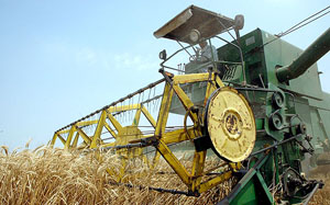 agri1