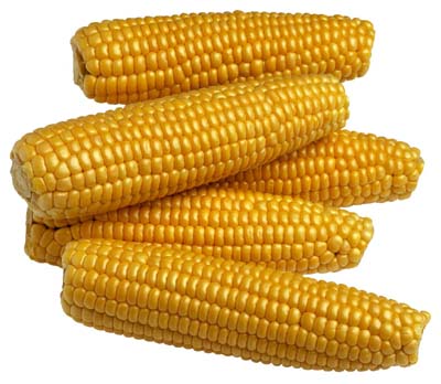 pistachio-43129