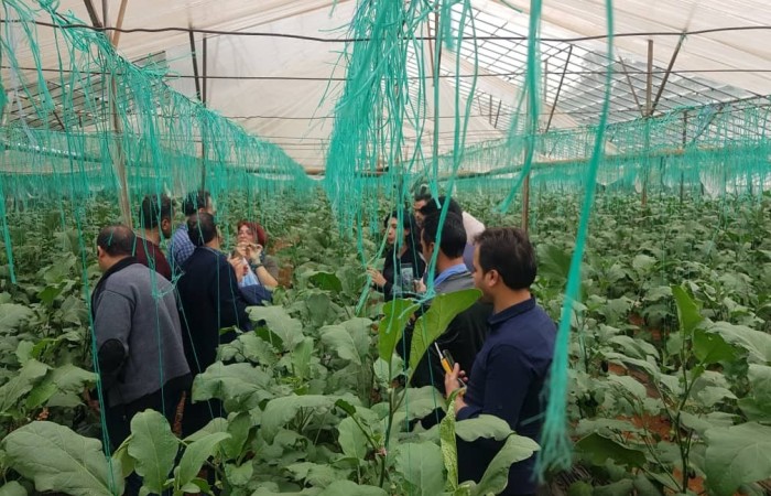 WhatsApp Image 2019-12-06 at 6.52.19 PM(1)