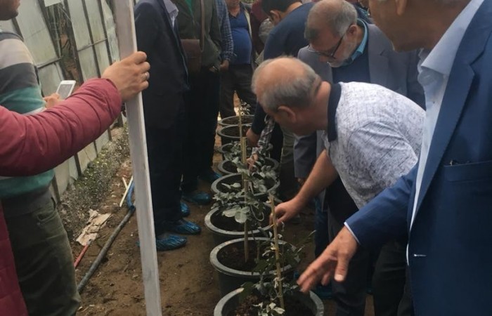 WhatsApp Image 2019-12-06 at 7.15.52 PM