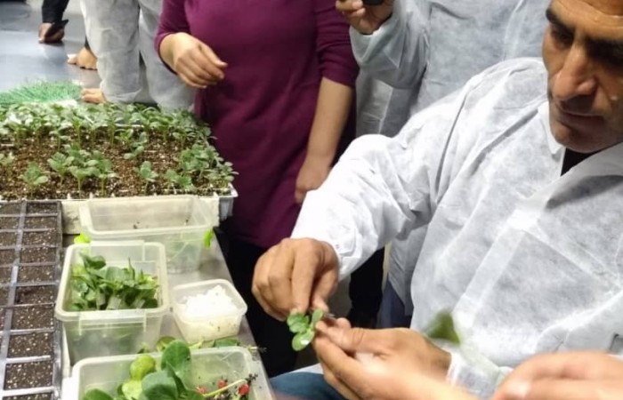 WhatsApp Image 2019-12-06 at 7.50.18 PM